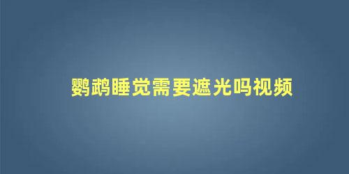 鹦鹉睡觉需要遮光吗视频
