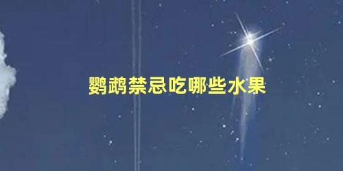 鹦鹉禁忌吃哪些水果
