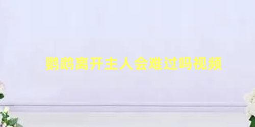鹦鹉离开主人会难过吗视频