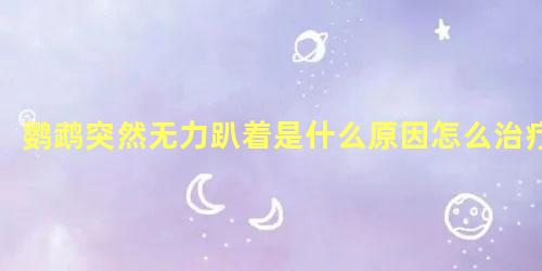 鹦鹉突然无力趴着是什么原因怎么治疗