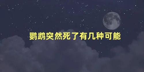 鹦鹉突然死了有几种可能
