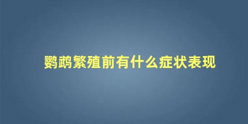鹦鹉繁殖前有什么症状表现