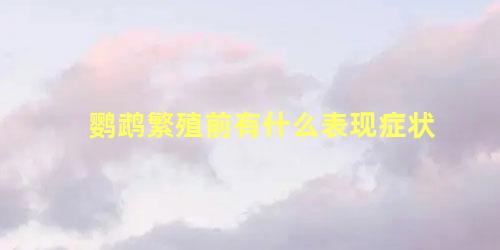 鹦鹉繁殖前有什么表现症状