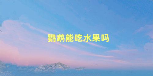 鹦鹉能吃水果吗