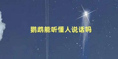 鹦鹉能听懂人说话吗