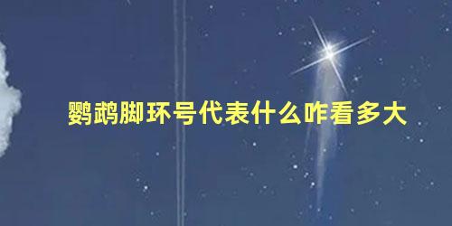 鹦鹉脚环号代表什么咋看多大