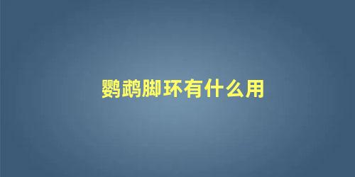 鹦鹉脚环有什么用