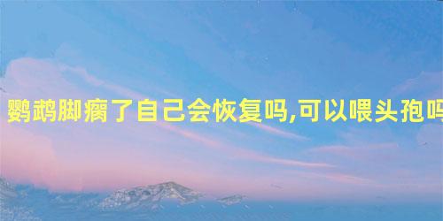 鹦鹉脚瘸了自己会恢复吗,可以喂头孢吗