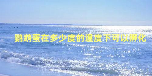 鹦鹉蛋在多少度的温度下可以孵化