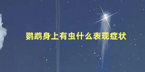 鹦鹉身上有虫什么表现症状