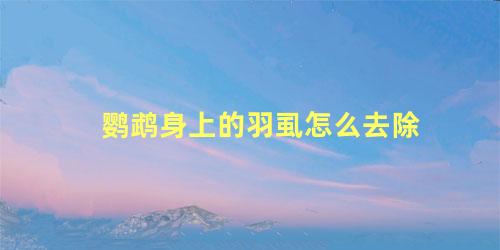 鹦鹉身上的羽虱怎么去除