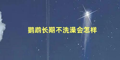 鹦鹉长期不洗澡会怎样