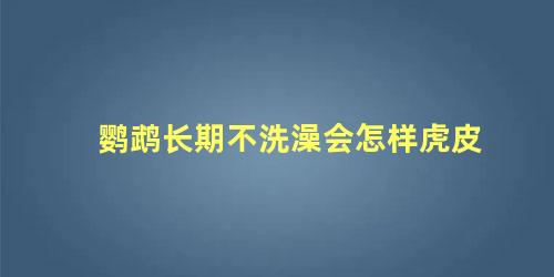 鹦鹉长期不洗澡会怎样虎皮