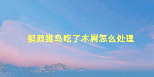 鹦鹉雏鸟吃了木屑怎么处理