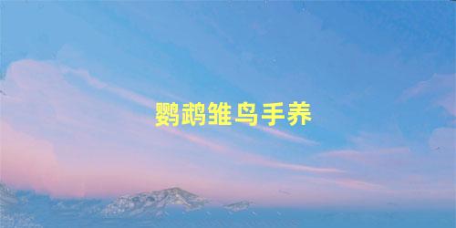 鹦鹉雏鸟手养