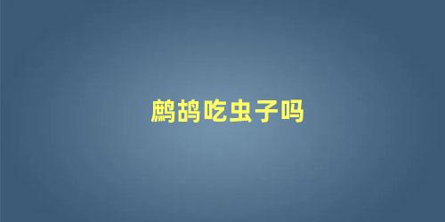 鹧鸪吃虫子吗
