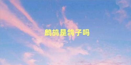 鹧鸪是鸽子吗