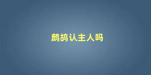 鹧鸪认主人吗