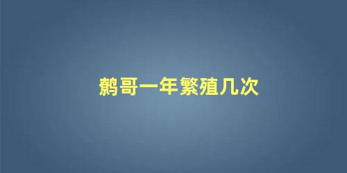 鹩哥一年繁殖几次