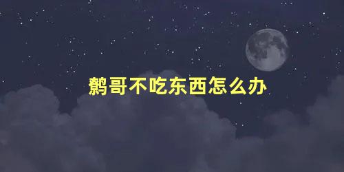 鹩哥不吃东西怎么办