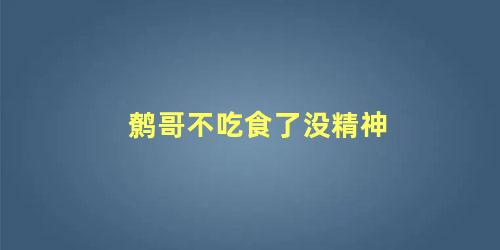 鹩哥不吃食了没精神