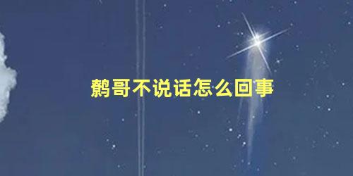 鹩哥不说话怎么回事