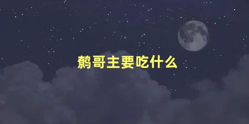 鹩哥主要吃什么