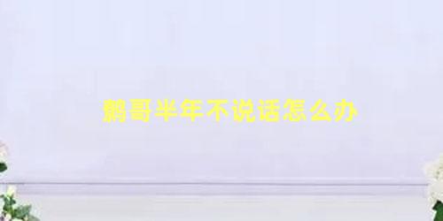 鹩哥半年不说话怎么办