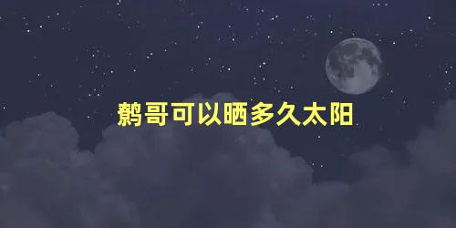 鹩哥可以晒多久太阳