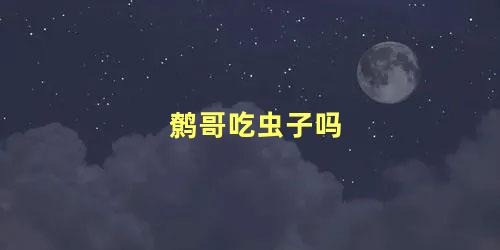 鹩哥吃虫子吗
