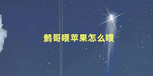 鹩哥喂苹果怎么喂