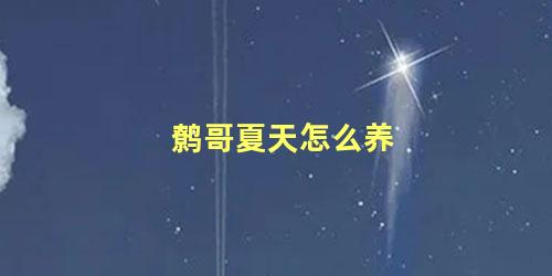 鹩哥夏天怎么养