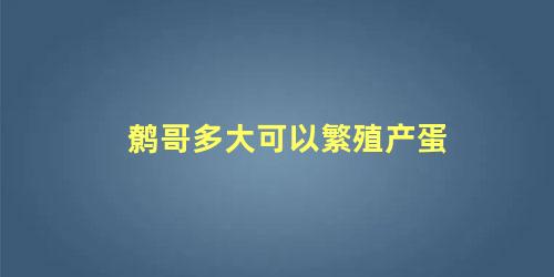 鹩哥多大可以繁殖产蛋