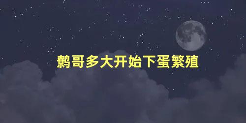 鹩哥多大开始下蛋繁殖