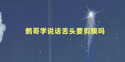 鹩哥学说话舌头要剪膜吗