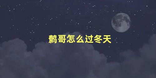 鹩哥怎么过冬天