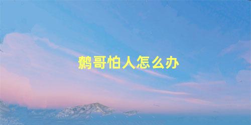 鹩哥怕人怎么办