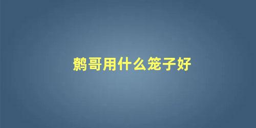 鹩哥用什么笼子好