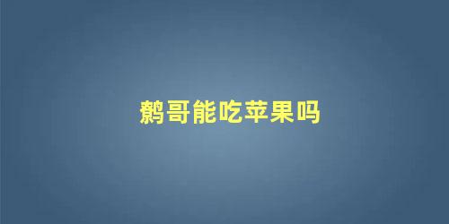 鹩哥能吃苹果吗