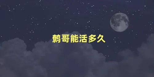 鹩哥能活多久