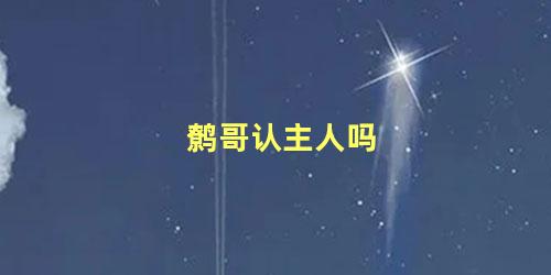 鹩哥认主人吗