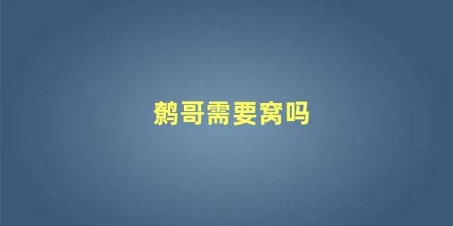 鹩哥需要窝吗
