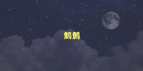 鹪鹩