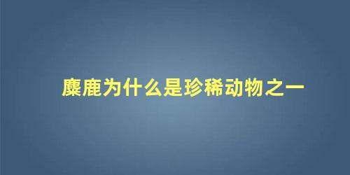 麋鹿为什么是珍稀动物之一