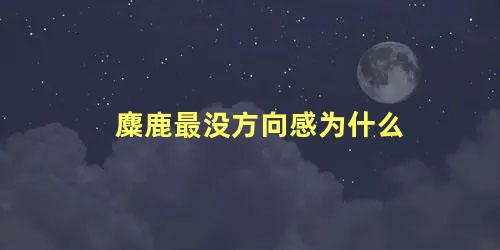 麋鹿最没方向感为什么