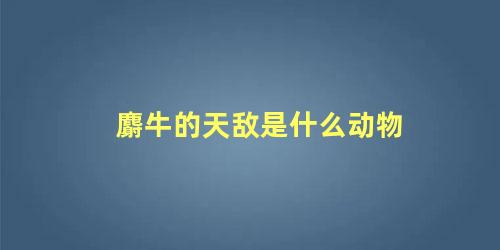 麝牛的天敌是什么动物