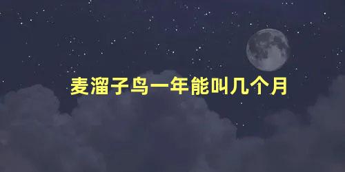 麦溜子鸟一年能叫几个月