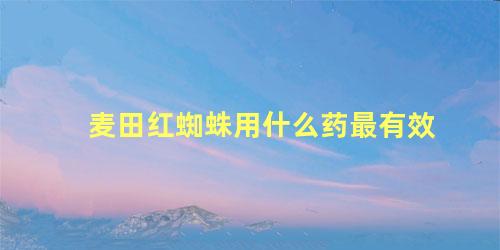 麦田红蜘蛛用什么药最有效
