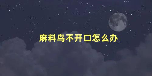 麻料鸟不开口怎么办