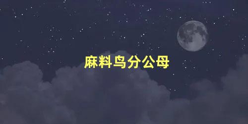 麻料鸟分公母